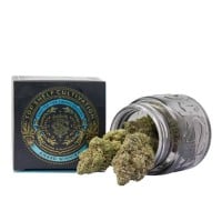 Top Shelf Cultivation - Garlic Gas - 3.5 Grams